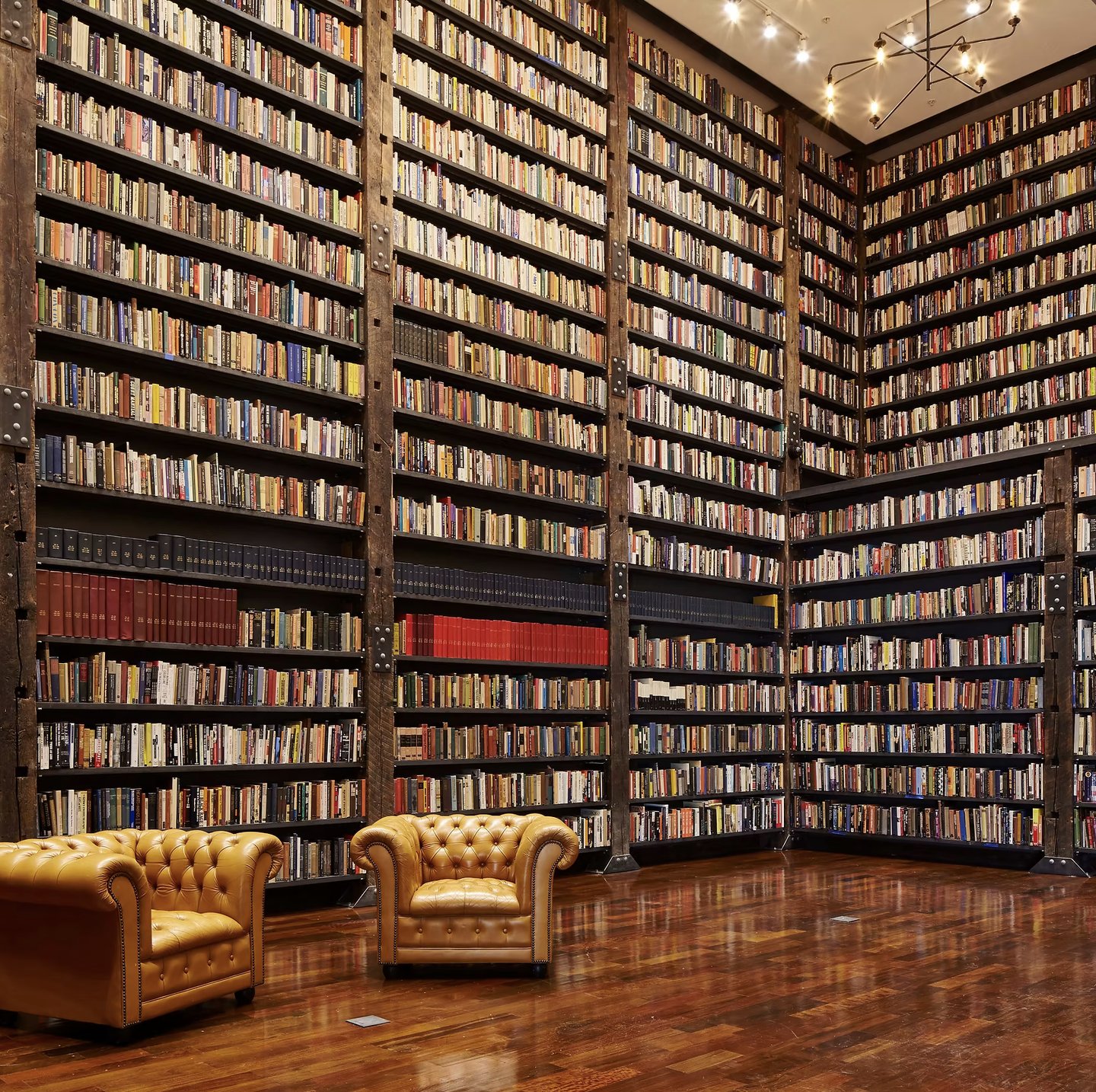 The Johnson Publishing Company Library at Stony Island Arts Bank
